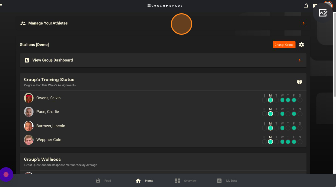 Screen Shot 2023-07-24 at 3.56.58 PM.png